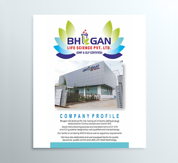 Company Brochure